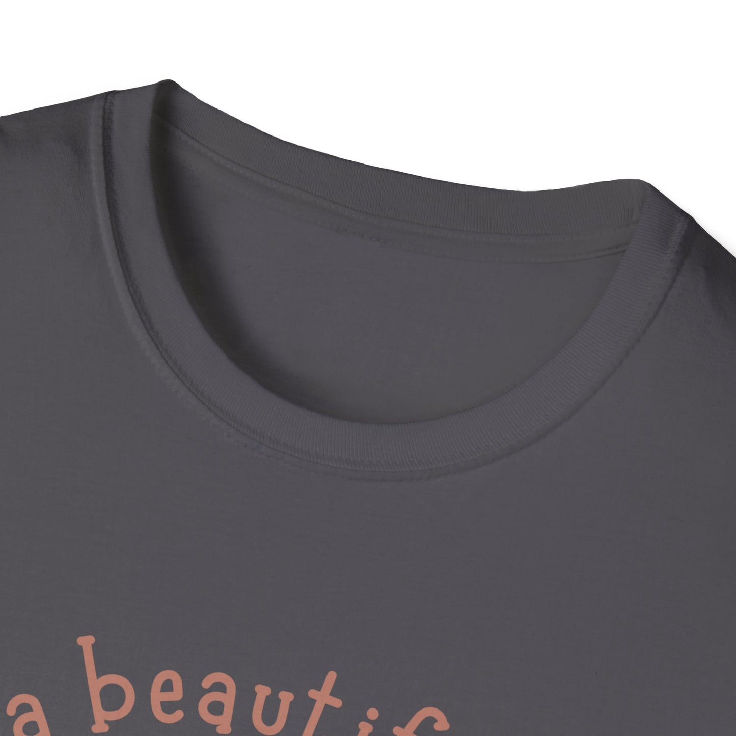 "It's A Beautiful Day To Teach" Unisex Softstyle T-Shirt